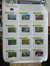 Listing image for 2004 - POSTER 70x100CM - GRAN SASSO LAGA NATIONAL PARK - ENDEMIC FLORA
